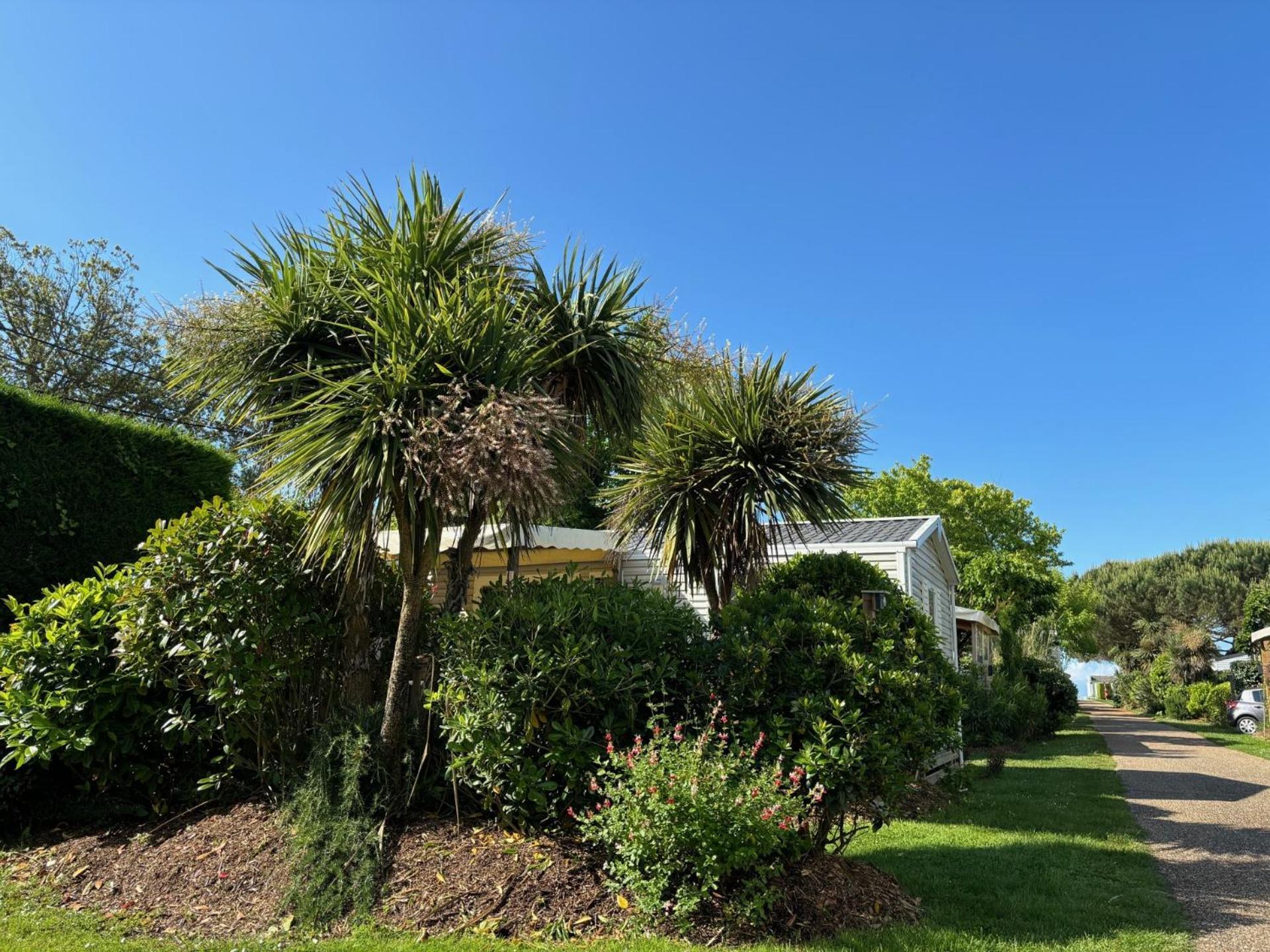 Tahiti Village La Grande Cote Saint-Palais-sur-Mer Exterior foto